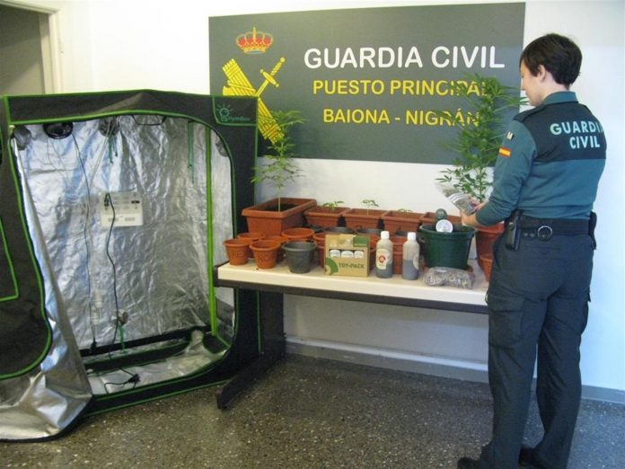 Invernadoiro portátil para o cultivo de marihuana e plantas de cannabis / Garda Civil.