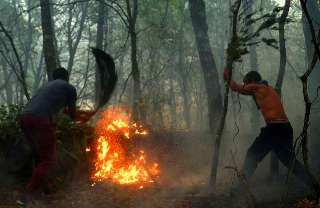 Lume rapaces o apagan.