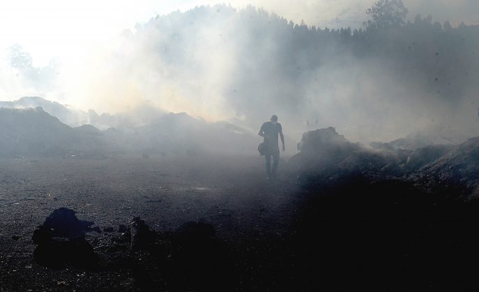 Lume paixase desolador despois dos incendios