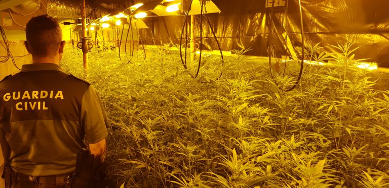 A Garda Civil localiza un punto de venda de drogas en Moaña e un cultivo en Meis