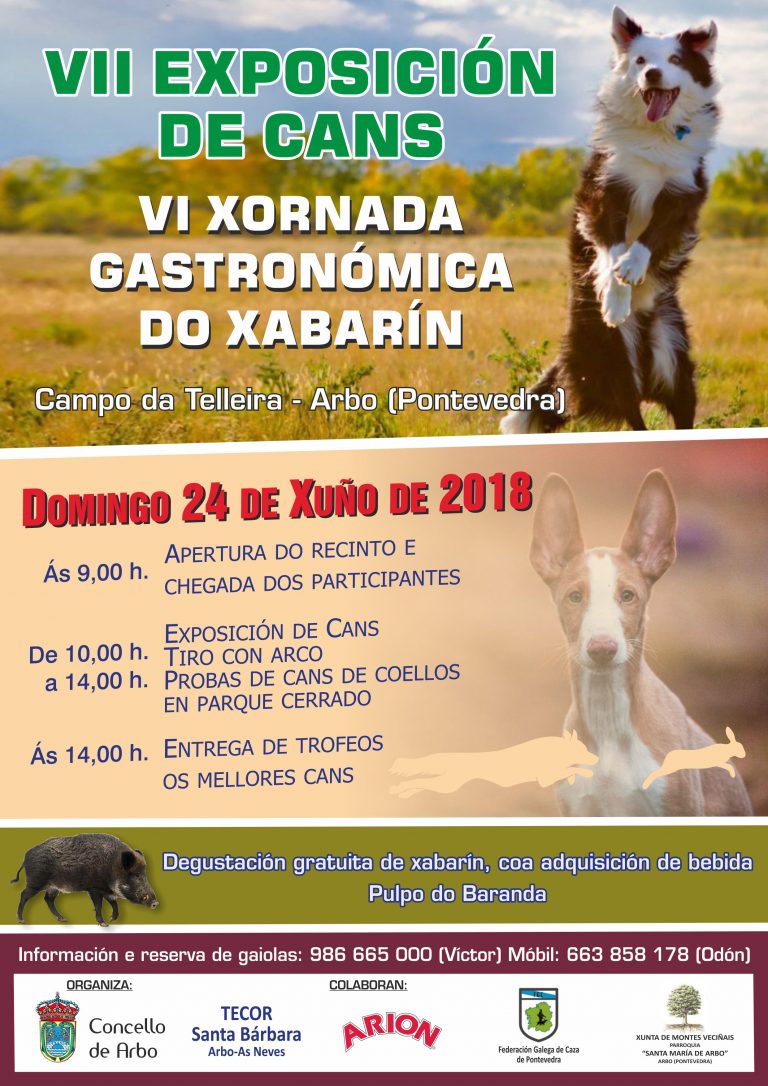 Arbo prepara a súa VIII exposición de cans, con tiro con arco, cetrería e desgustacións de xabaril