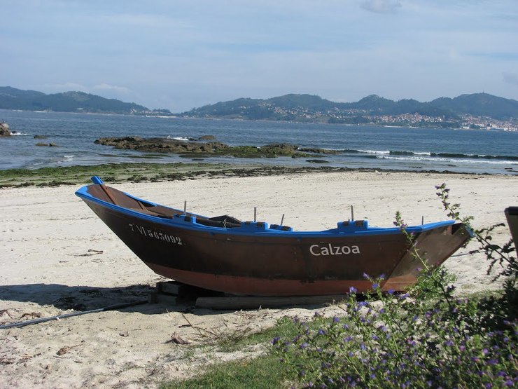 A Comisión Europea fai responsable ao Estado español de protexer o hábitat e aves na praia canina de Vigo