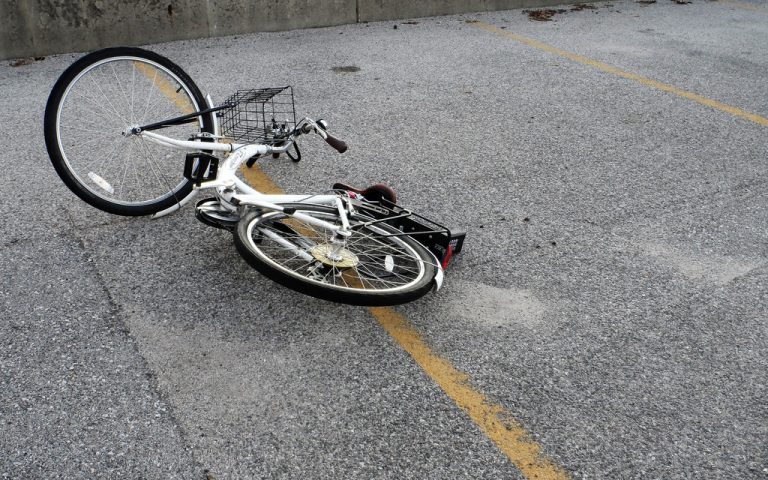 Ferido un ciclista en Nigrán que caeu da bicicleta ao ser atacado por un papagaio