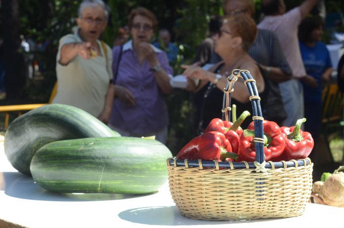 Productos da Horta