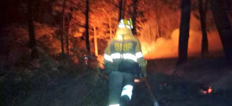 Un gran incendio afecta a máis de 21 hectáreas en Mondariz