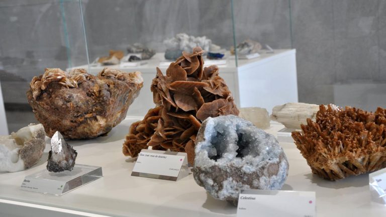 A UVigo inaugura unha exposición permanente de minerais doada polos herdeiros de Manuel de Sas