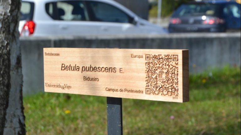 A ‘realidade aumentada’ é o futuro: do Pokemon Go ao novo proxecto da UVigo para poñer en valor as árbores