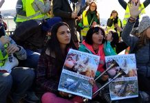 Protesta contra a caza de raposos / Miguel Núñez
