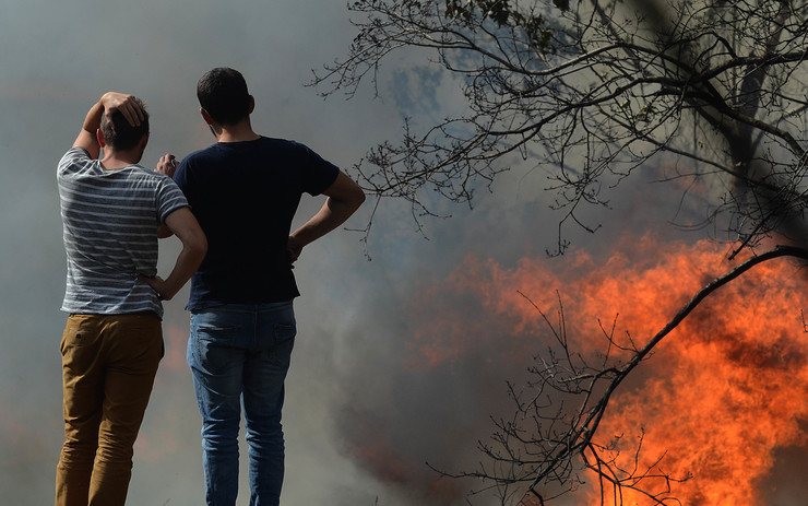 A zona afectada de Ponteareas queimada na vaga de incendios de 2017, en proceso de rexeneración