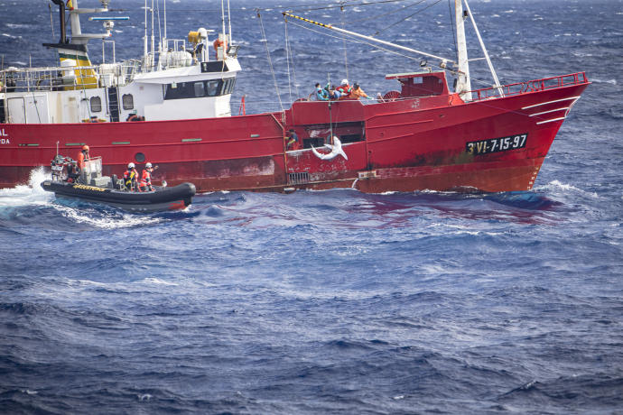 Lea entre palangreiros da Guarda e activistas de Greenpeace pola sobrepesca de quenllas