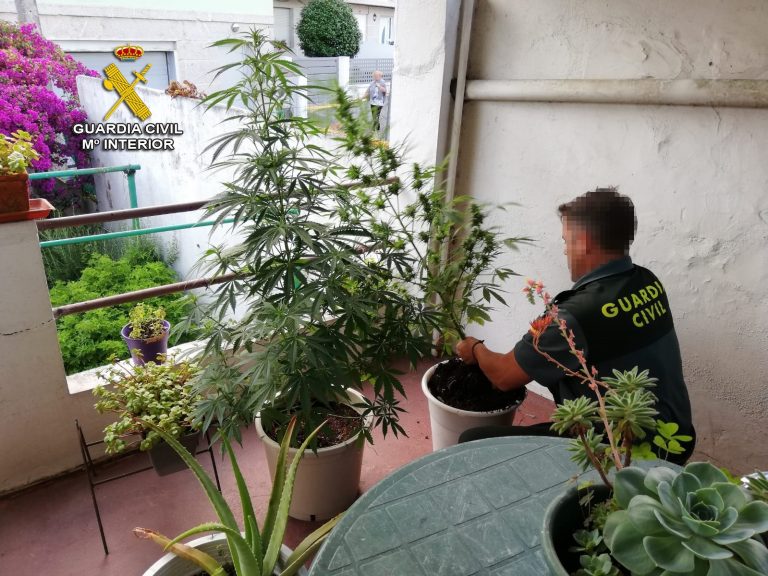 Descobren a un veciño de Moaña que tiña seis plantas de marihuana na súa terraza