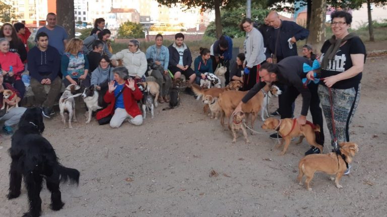 Veciños do Calvario piden ao Concello que manteña e mellore o parque de Matías para uso canino