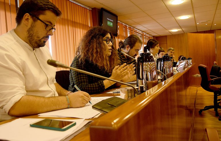 Os votos de PP e PSOE tomban a proposta de declarar Povisa de interese público