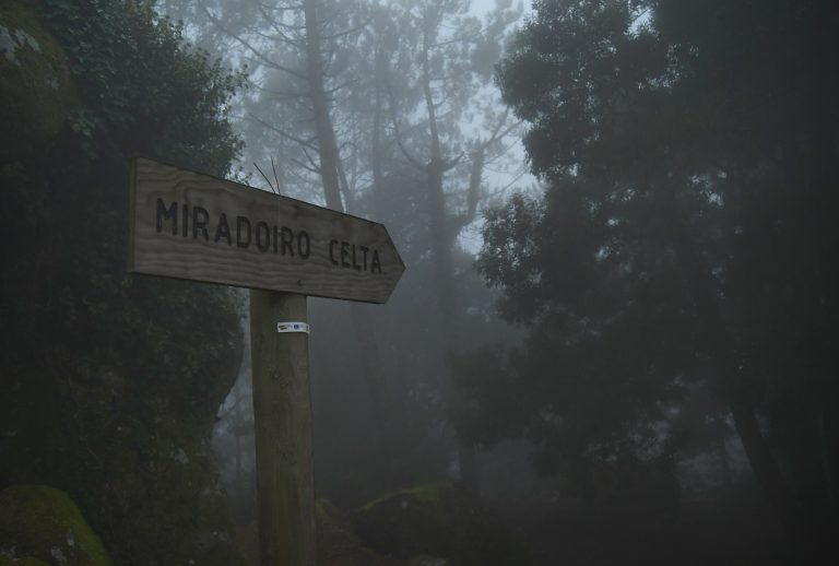 Medio Ambiente promociona o turismo sustentable no Monte Aloia de Tui
