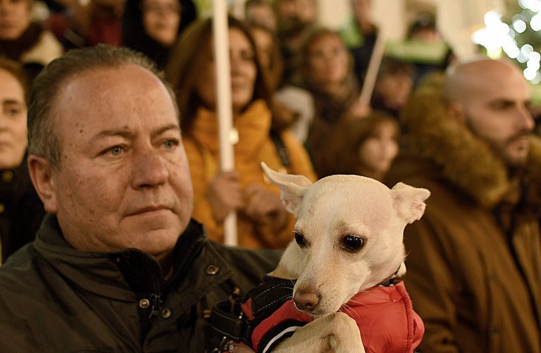 (Galería) Indignación polo asasinato dunha pobre cadela indefensa