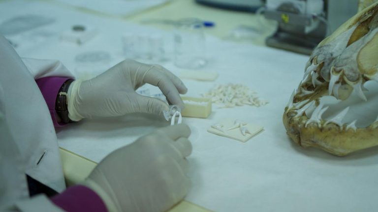 Empresas porriñesas buscarán unha vacina para o coronavirus