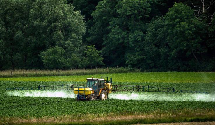 O glifosato, o polémico herbicida que a UE quere retirar do mercado