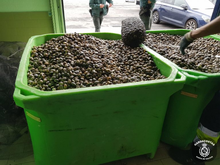 Gardacostas e Garda Civil decomisan máis de 2.800 quilos de ameixa xaponesa procedente de Portugal