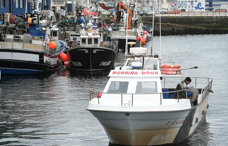 Un proxecto europeo utilizará as novas tecnoloxías para rastrexar especies de peixe