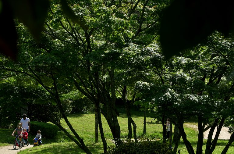 Xunta e Uvigo alíanse para crear unha ferramenta que identificará refuxios climáticos nos concellos