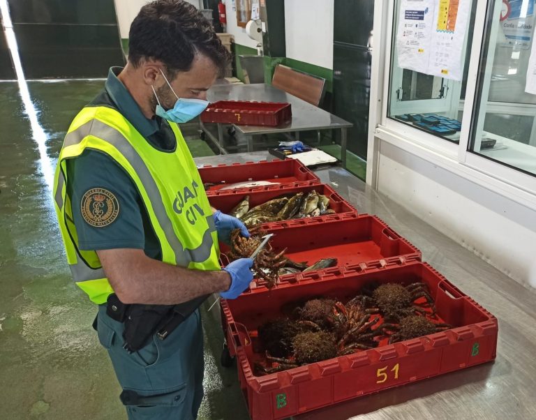 Aparecen 11 quilos de centolla no Porto de Baiona sen que ninguén saiba a súa procedencia