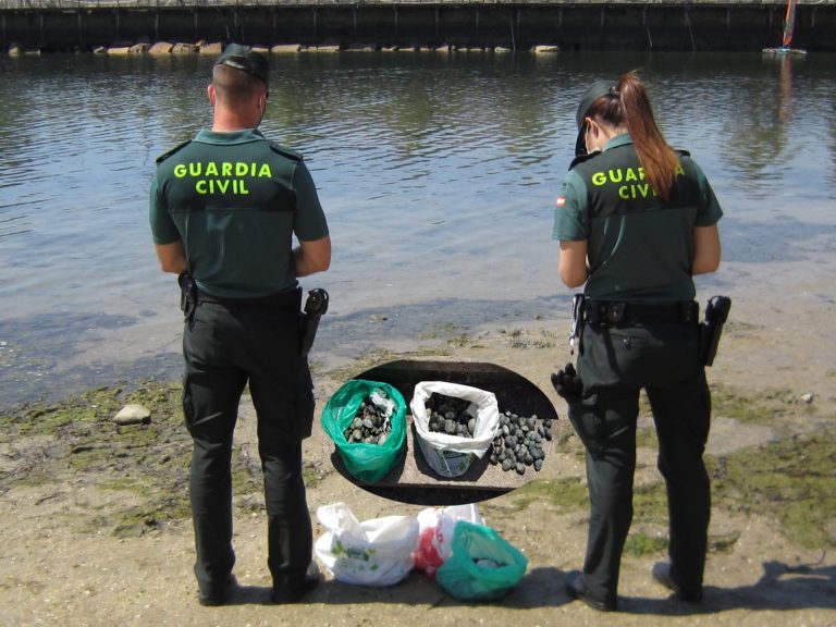 Denunciados tres mariscadores furtivos sorprendidos nunha praia de Vigo tras extraer sete quilos de ameixas