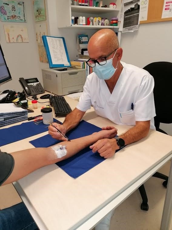 Ensaios na área Sanitaria de Vigo con repicaduras de velutina para testar a eficacia dunha vacina para alerxias