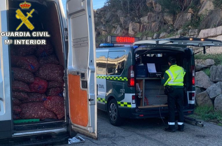 Intervidos en Mos case 900 quilos de ameixa transportada de forma clandestina desde Portugal