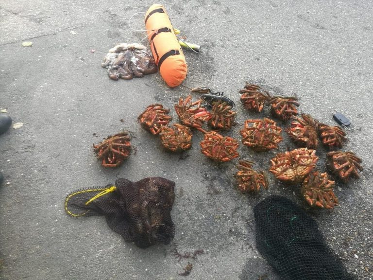 Cazan a un furtivo en Vigo con 19 quilos de marisco ilegal