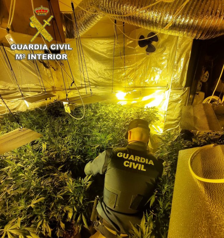 Tres detidos despois de desmantelar unha plantación de marihuana nunha casa de Tomiño
