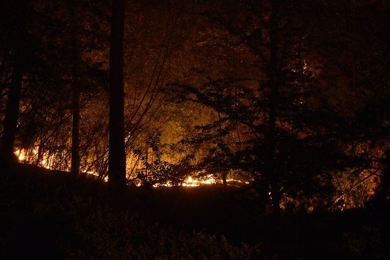 Desaloxan por precaución o festival Vive Nigrán tras declararse un incendio forestal en Monteferro