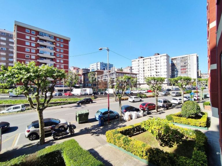 Denuncian que o Concello de Vigo trata as árbores “coma se fosen mobiliario urbano”