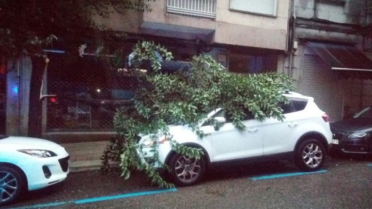 O temporal do domingo deixa danos en vehículos e problemas na VG-20 pola caída de árbores