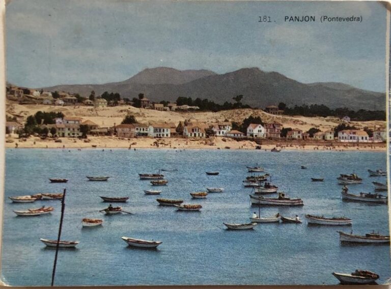 OPINIÓN.- Salvar a Ría de Vigo e recuperar a saude pública