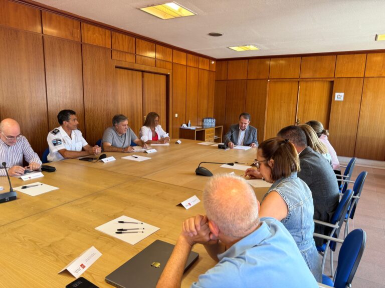 Vigo mantén “vixilancia máxima” nas súas zonas forestais para previr incendios