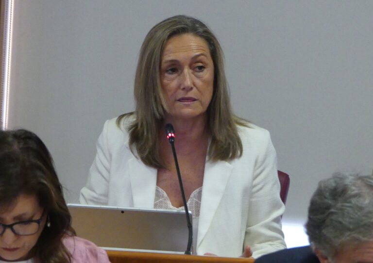O PP de Vigo reclama a gratuidade da AP-9 e acusa a Sánchez de “castigar” á cidade