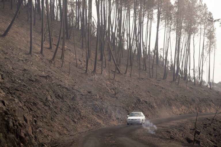 A UVigo participa nun proxecto para a detección satelital de incendios