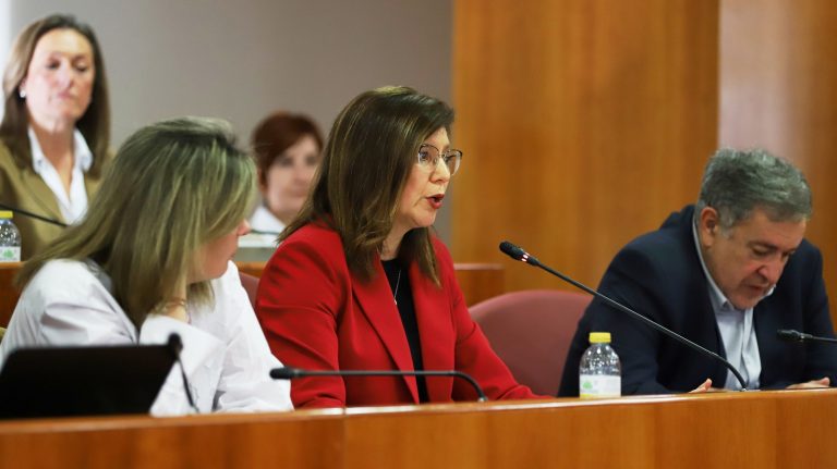 Vigo aproba a ordenanza que regula as vivendas turísticas co rexeitamento de toda a oposición