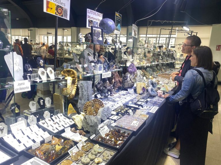 Restos da estación espacial Salyut e fósiles de megalodón, trilobites ou madeiras fosilizadas no Minervigo