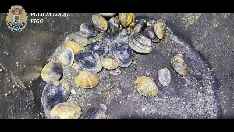 Dous furtivos reinciden dúas noites seguidas mariscando ilegalmente en Teis