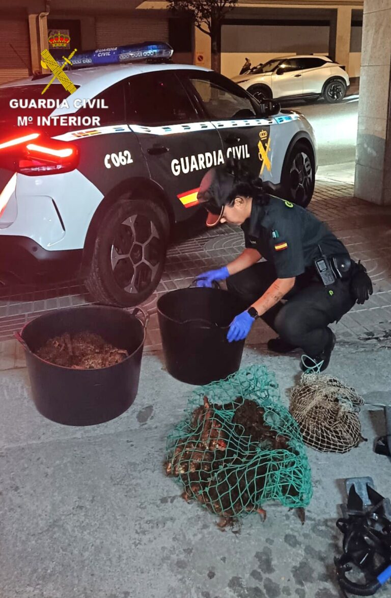 Interceptado en Moaña tras extraer ilegalmente máis de 25 quilos de centola e nécora