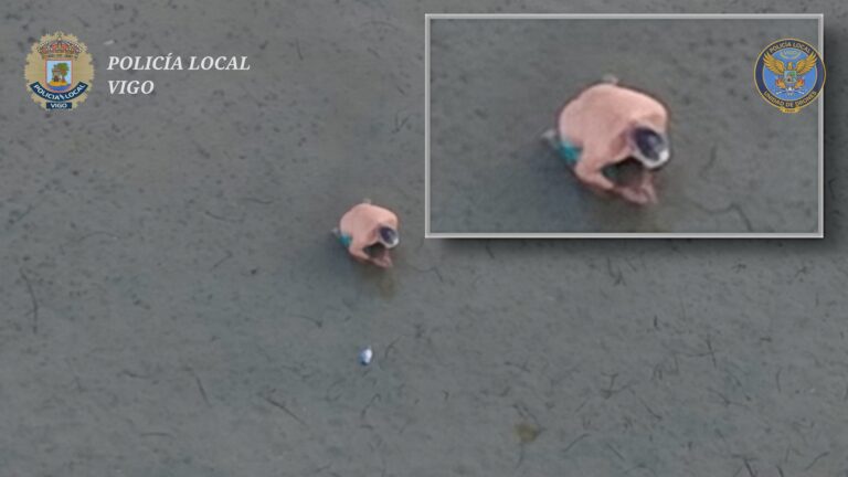 Tres mergulladores denunciados en Vigo por capturar polbo de talla inferior e extraer case seis quilos de bivalvos